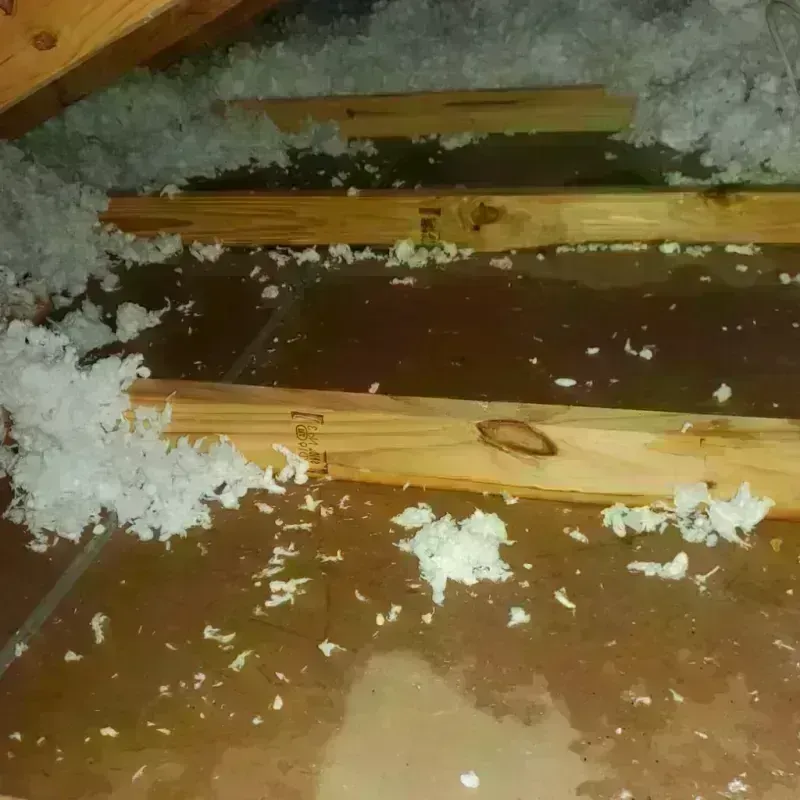 Attic Water Damage in Elwood, IL